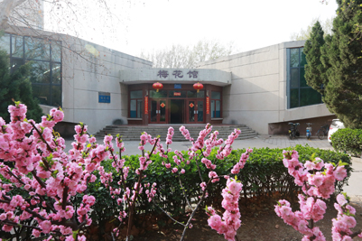 济南大学的春天 花海如潮